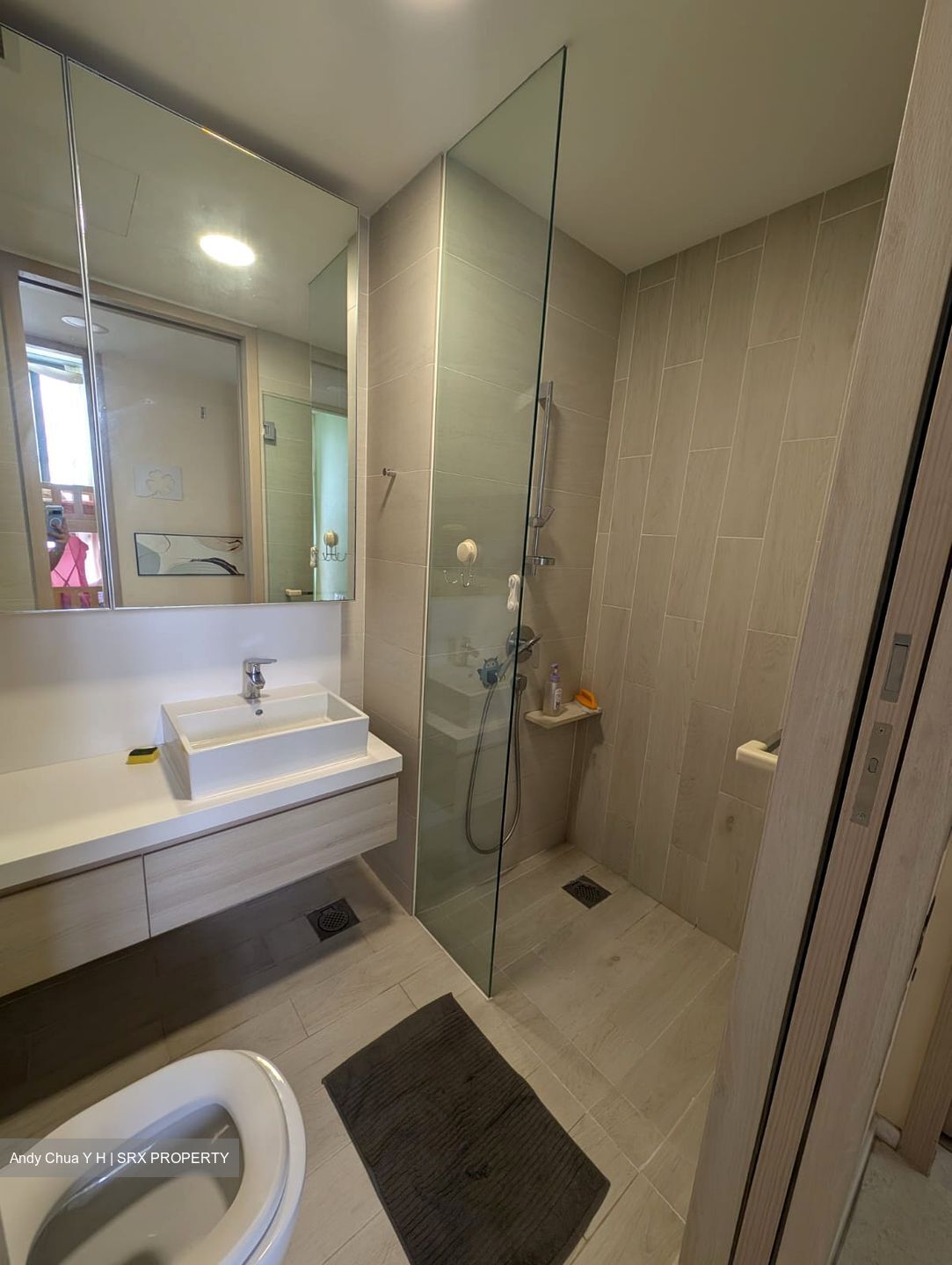 The Panorama (D20), Condominium #587736641